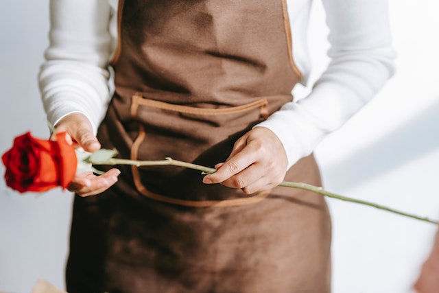 what to do if pricked by a rose thorn