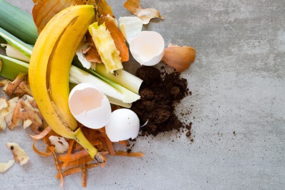 5 steps to make homemade compost