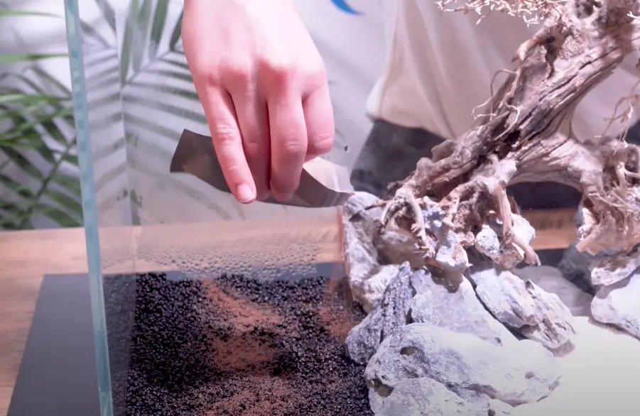 how to plant carpet seeds in an aquarium with water