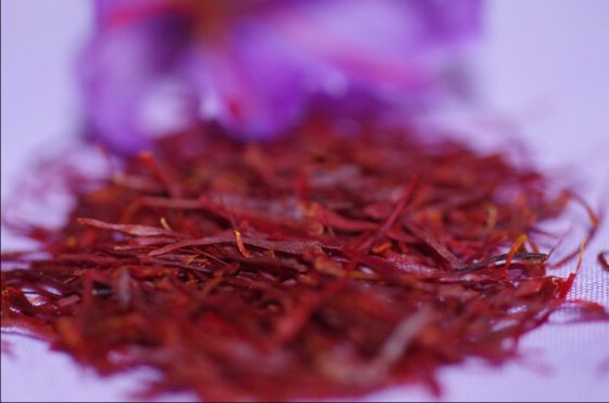 grow your own red gold mine saffron