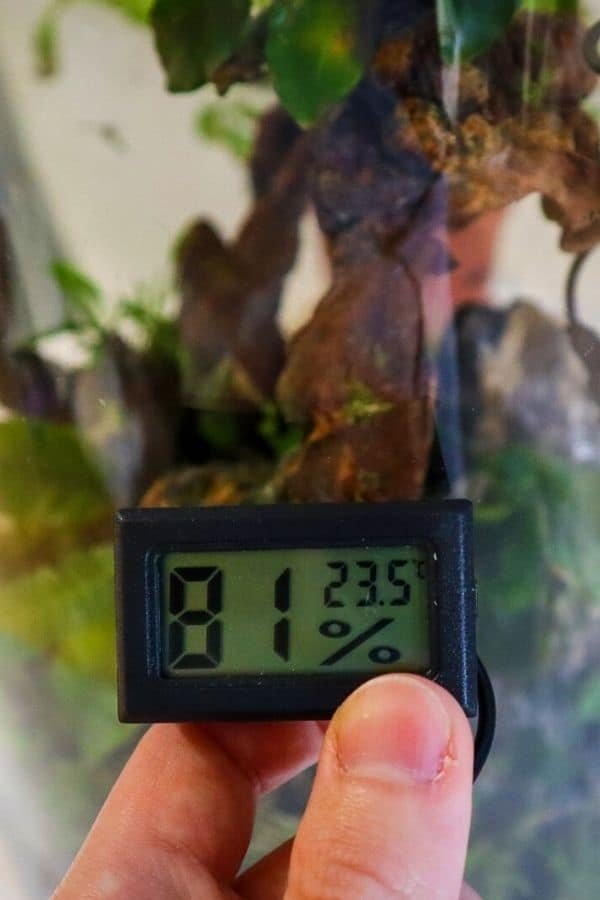 how to increase heat in terrarium