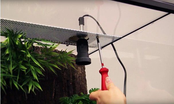 how to mount heat lamp inside terrarium