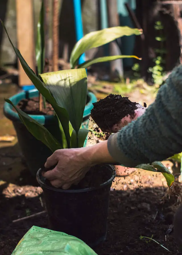 how to neutralize too much manure in garden