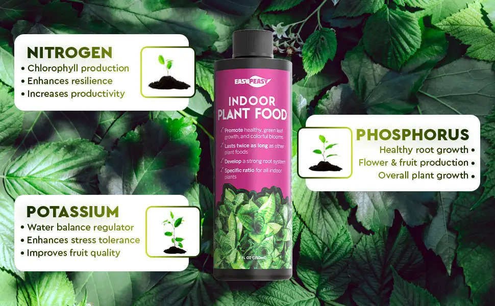 liquid chlorophyll for indoor plants