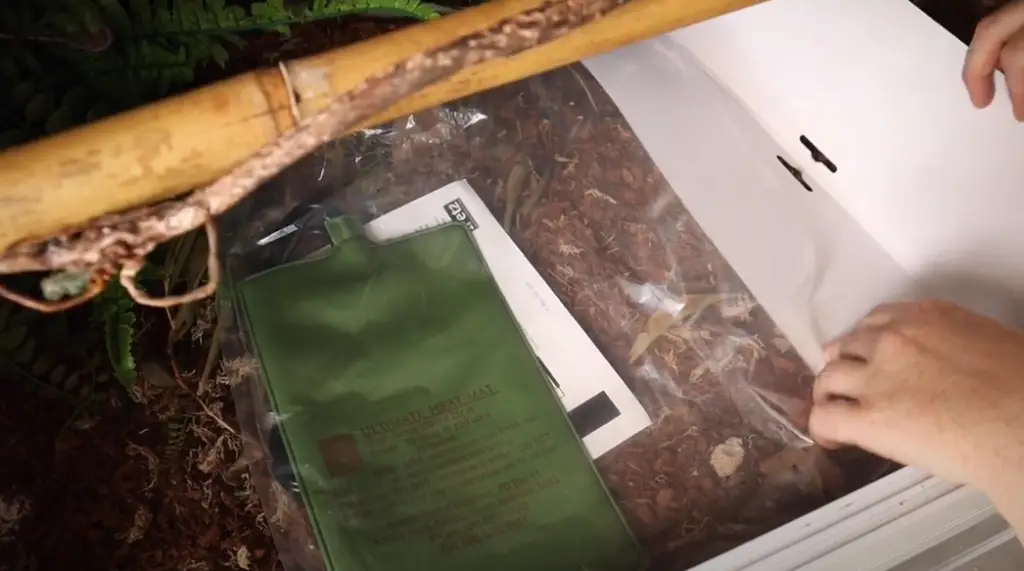 How To Keep Heat In Glass Terrarium Essential Tips Seeds to Seedlings