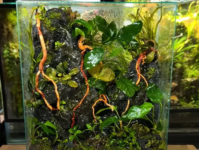 how to make a waterfall in a terrarium