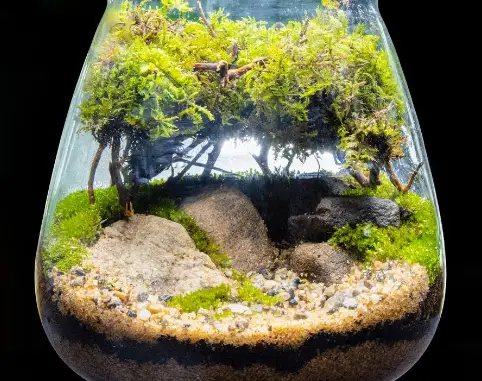 how to increase humidity in terrarium