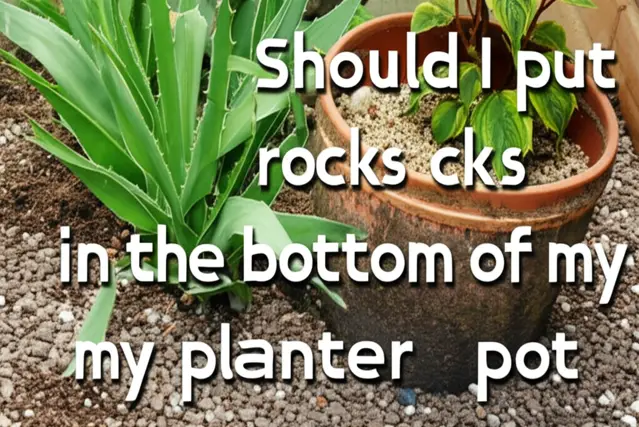 should i put rocks in the bottom of my planter pot